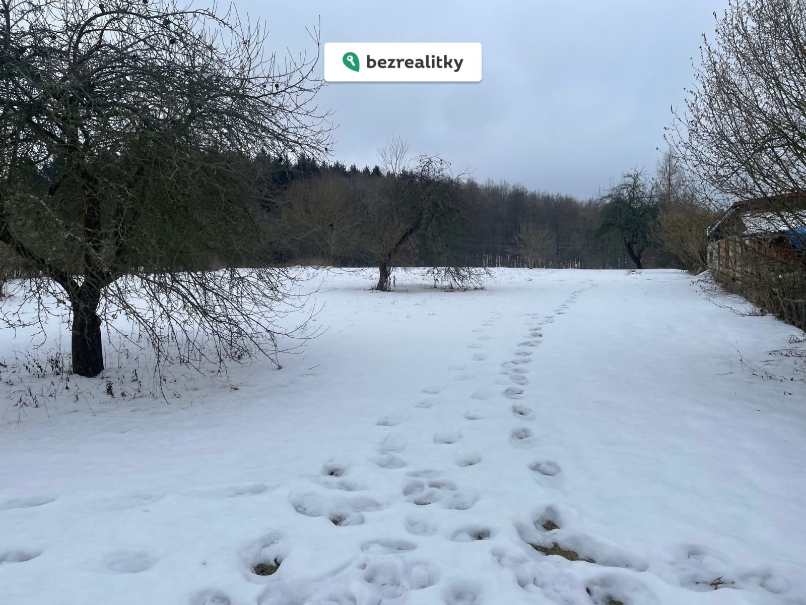 1768663521-pyrkghhqho-img-5922