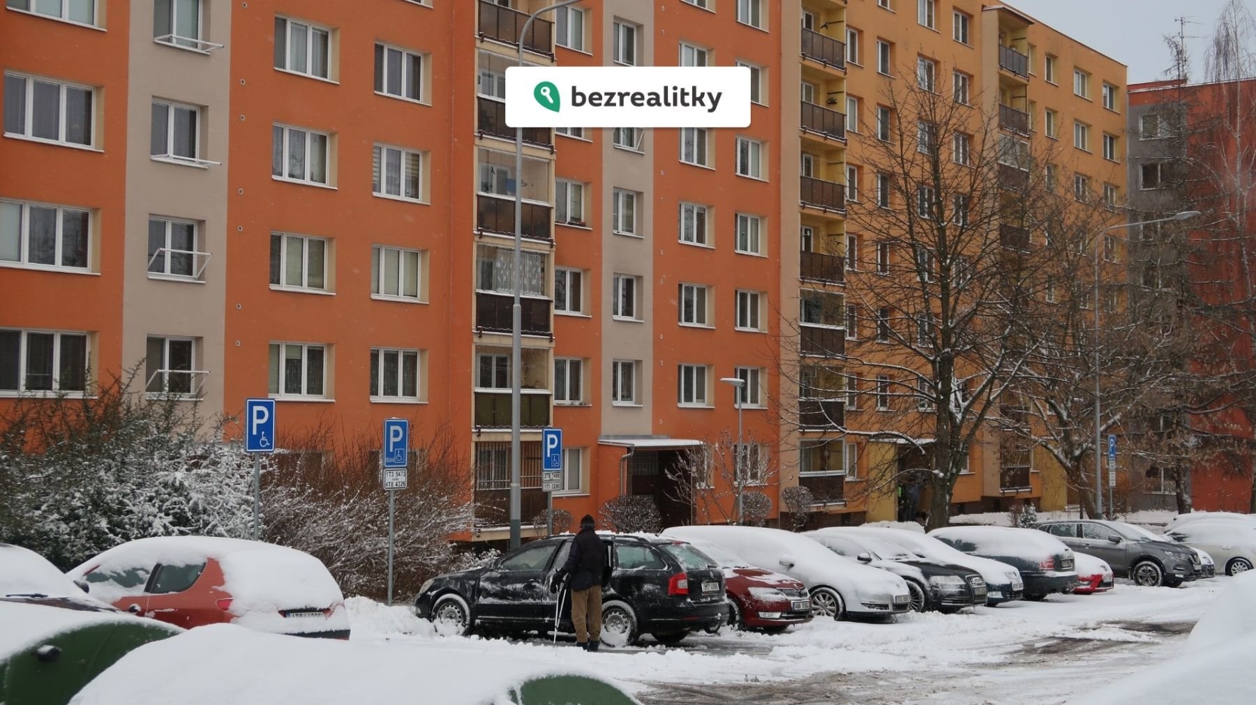 1768402598-gxkkbvljwj-img-2969