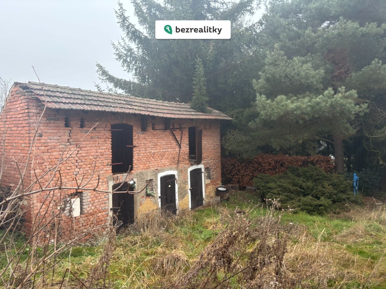 1768752523-mvtjapcjlp-img-3883