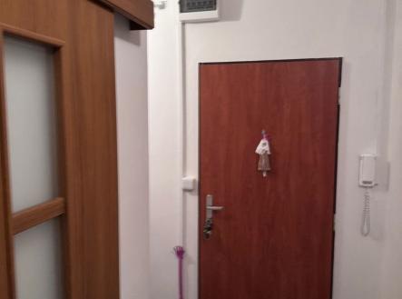 1769004281-hqpvilapdj-vchod