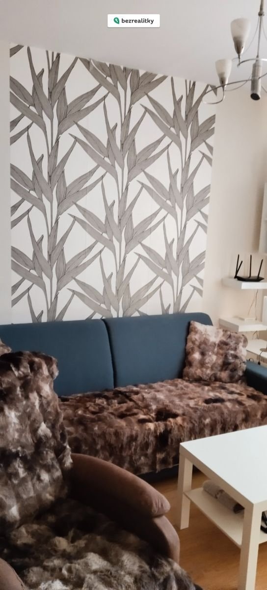 1769017225-spahshznsr-2ebd9b31-6a84-4ac5-9e6d-21c6fd1c656d-1-all-8479