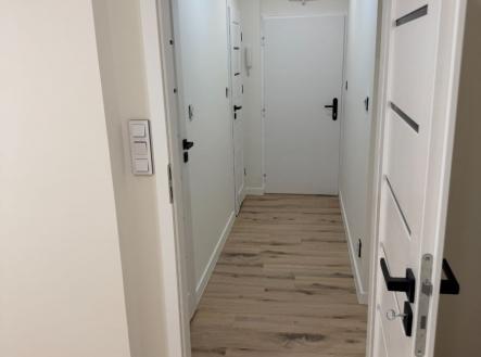 1769193881-aqfcxzolqu-img-4965