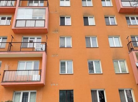 1769193883-qmeztiznsi-img-5047