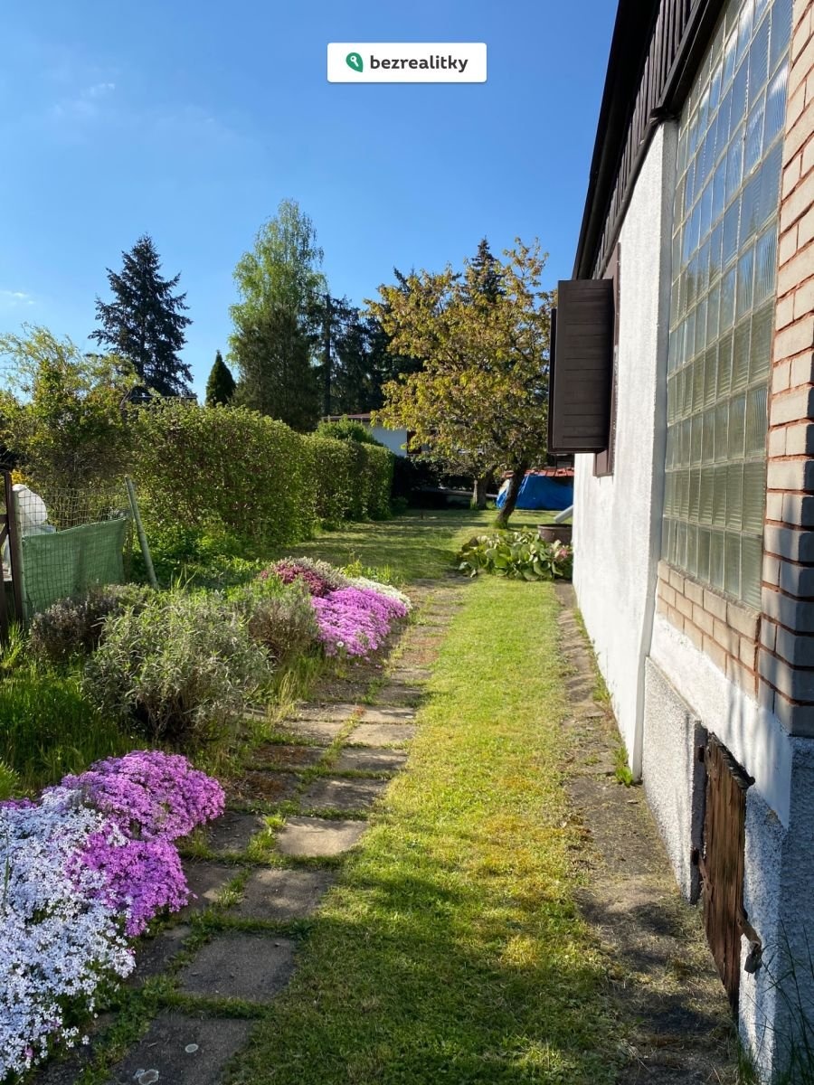 1769280533-gvvmvtaflq-img-0237