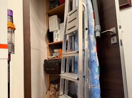 1769423730-nyniutvtbo-img-0296