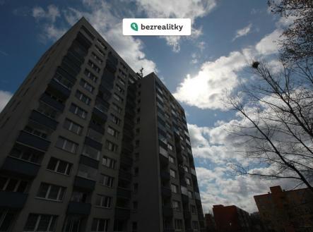 1770024256-xzdrfnyoul-img-9846