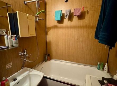 1770210345-itdeqrkvud-koupelna