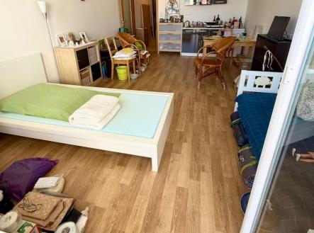 Prodej bytu, 1+kk, 40 m²