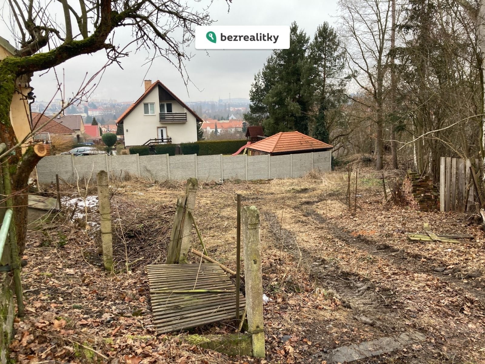 1770655082-mosxeszryw-img-3509