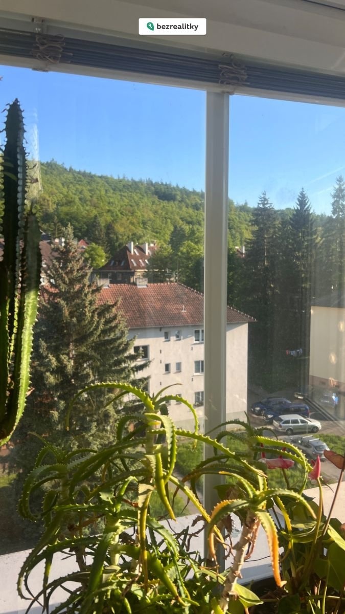 1770301214-buxloejump-img-3488