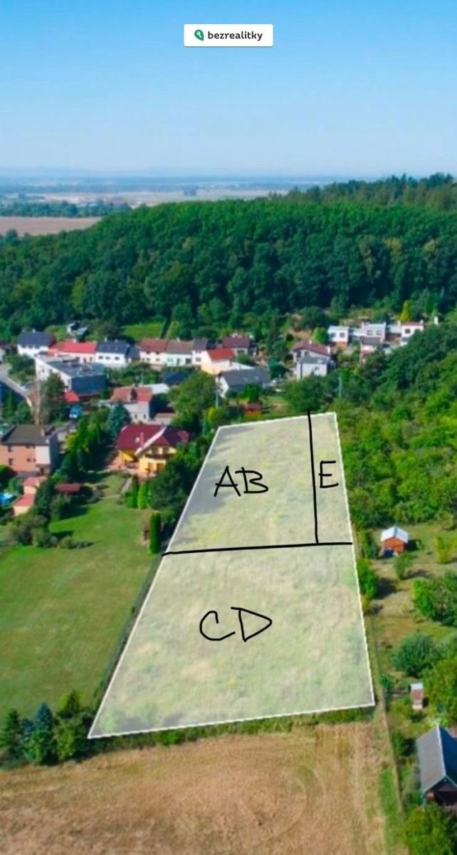 1771234457-yavicfvxxz-6d18a249-4ca2-44e4-8d66-fd1214caf705