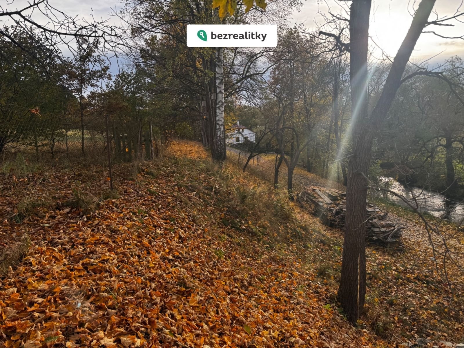 1771243671-tqodafzlly-img-8468