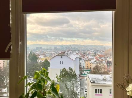 Prodej bytu, 1+kk, 20 m²