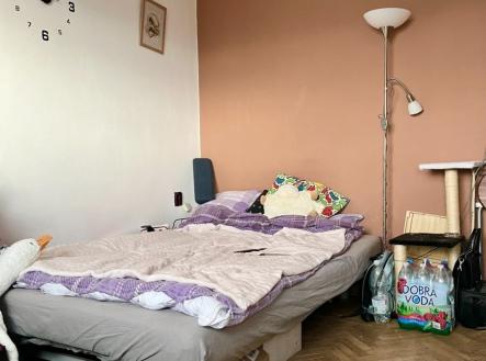 Prodej bytu, 1+kk, 20 m²