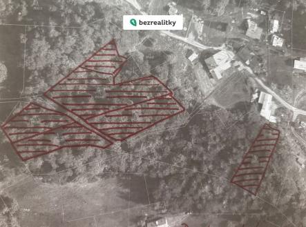 Prodej pozemku, les, 7 950 m²