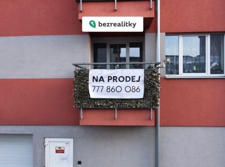 1773517191-jsorhkoxfq-img-8475