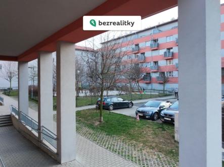 1773517191-toqxwwopjj-img-8476