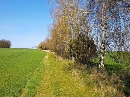 Prodej pozemku pro bydlení, 928 m²