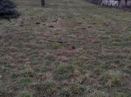 Prodej pozemku pro bydlení, 1 428 m²