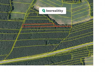 Prodej pozemku, les, 11 170 m²