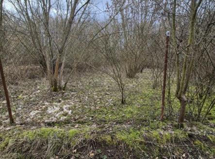 Prodej pozemku, ostatní, 499 m²