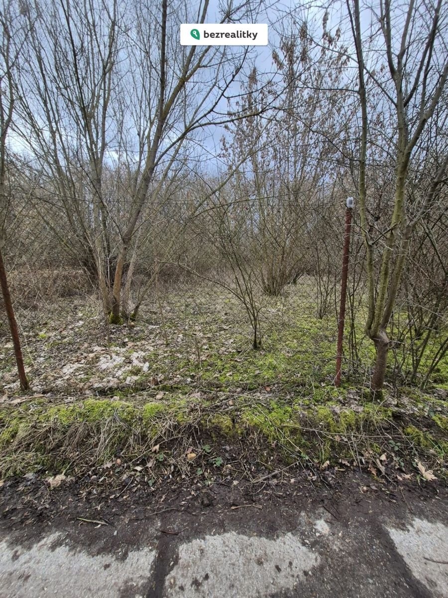 1772031534-lxxxuzcznb-img-20260223-wa0004