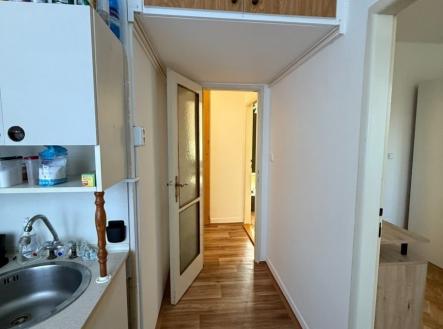 1772097163-ybuhwoqfvo-img-0982