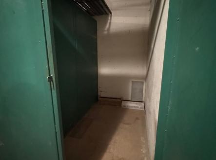 1772099134-cvtbgbsyjv-img-7099