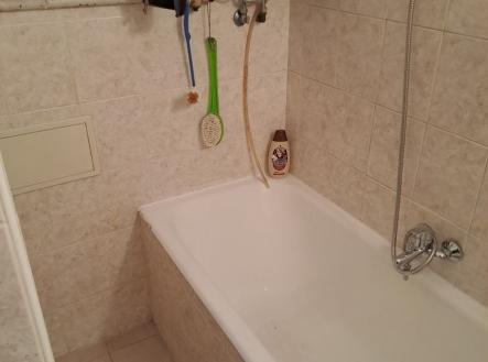 1772133166-dnufobmwji-20250131-155538