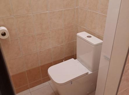 1772133203-vzwultdnez-20250131-155500