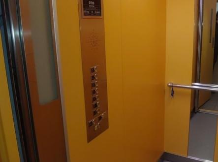 1772134924-lpqcnohkhz-z-c3-a1novn-c3-ad-v-c3-bdtah-pohled-zevnit-c5-99