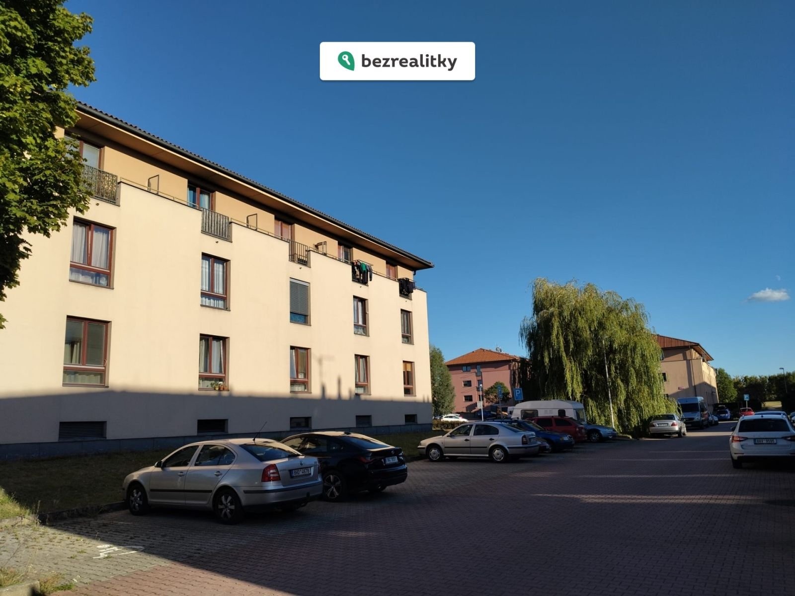 1772184021-ocsyonwnce-c9a5ca9b-986b-4bc5-9c6e-c17ed75cb619