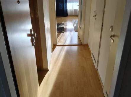 1772184021-djpbqdjzcu-c3c29ca0-d60a-47f7-bd6e-df4b556d994e