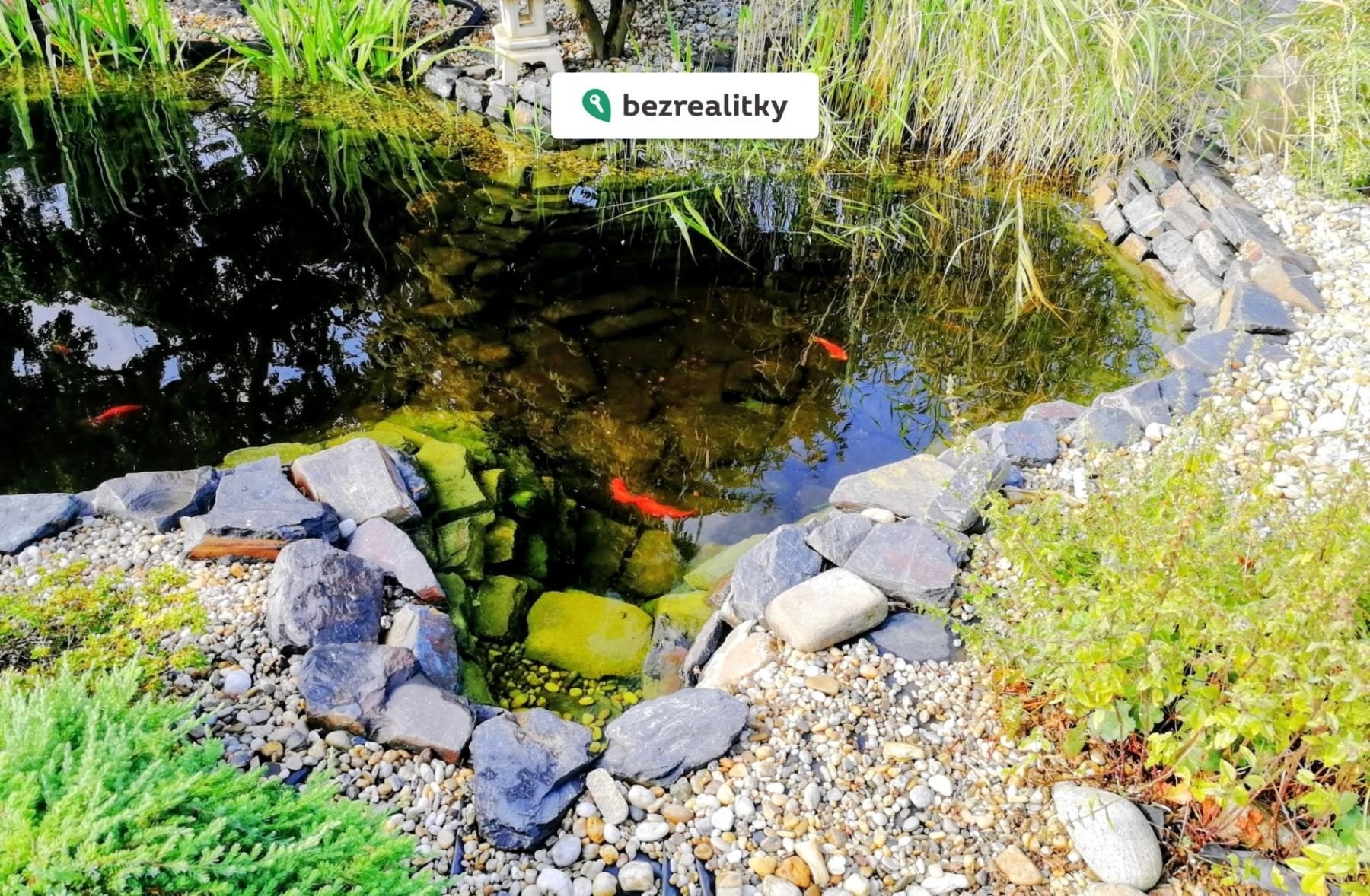 1772276175-inliaxlrmi-1-hylov