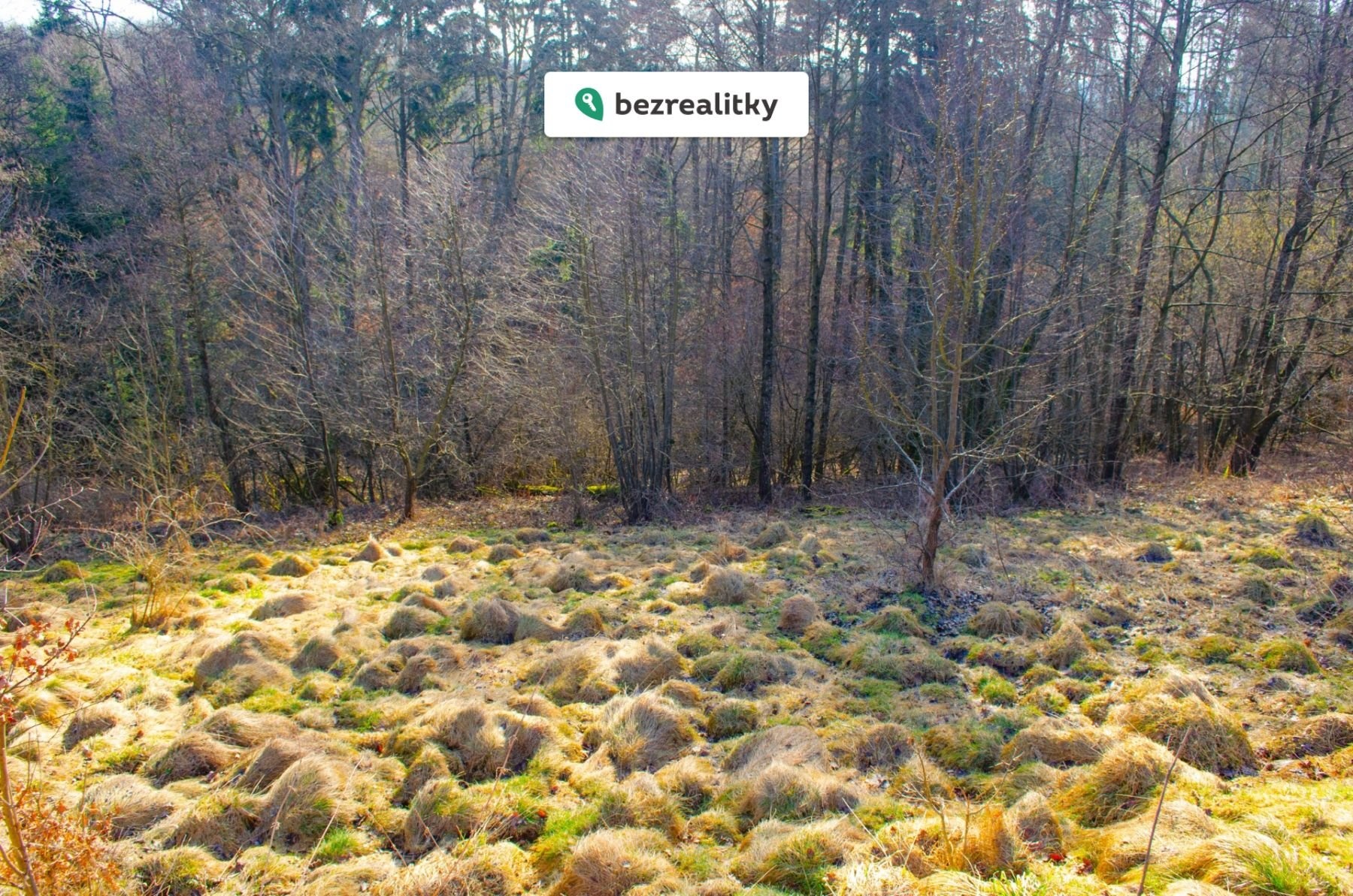 1772298329-xbzddymoiy-r-c5-af-c5-beek-prodej-202610