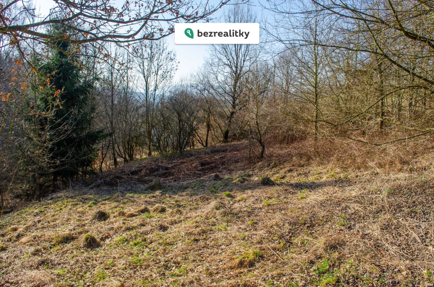 1772298329-lynuwhcsaw-r-c5-af-c5-beek-prodej-202601