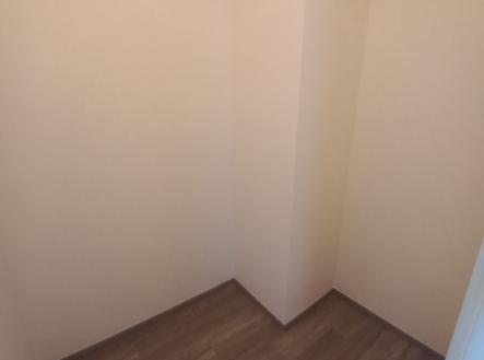 1772359230-lirvdoggsu-20260220-092108