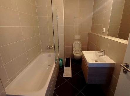 1772359552-xpstihyrpf-1000000111-282-29