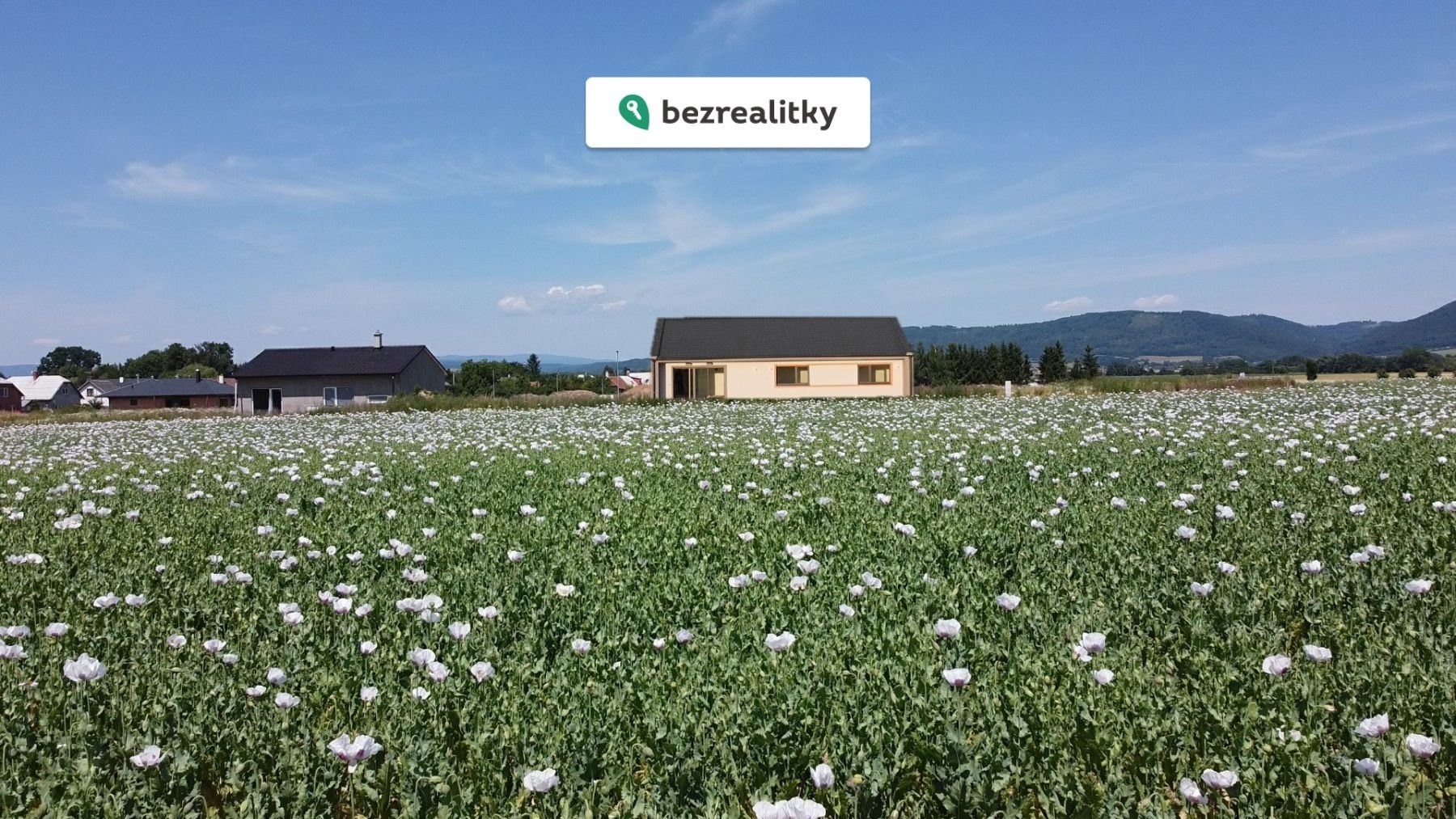 1772360653-jwiaskvfbr-dum-pole