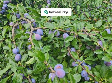 Prodej pozemku, zahrada, 300 m²