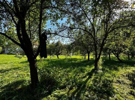 Prodej pozemku pro bydlení, 2 549 m²