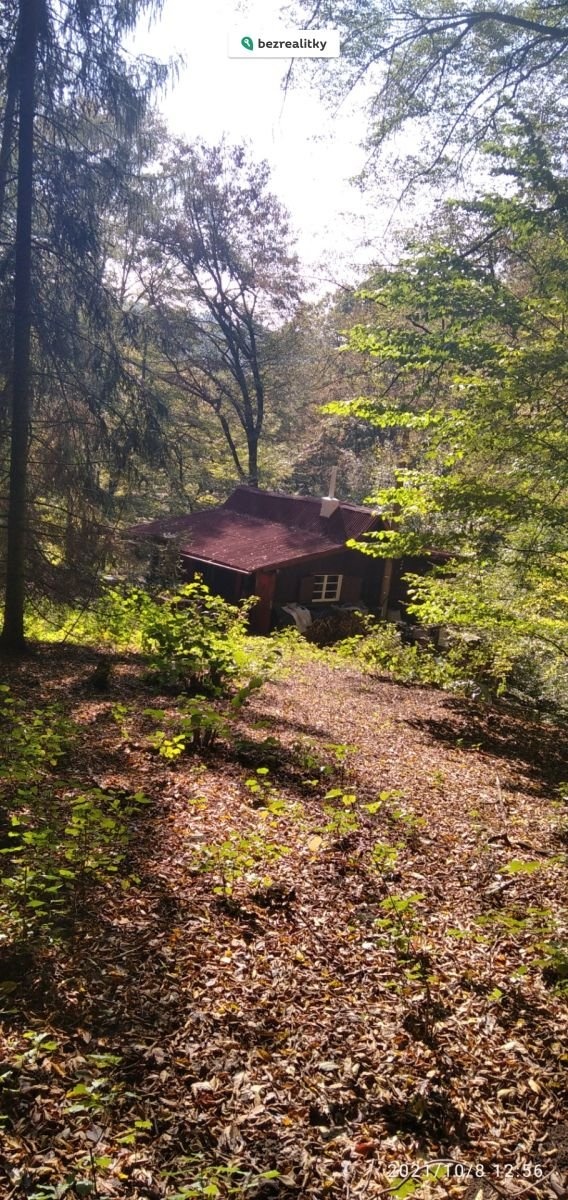 1772809905-rxpzfztcyq-0