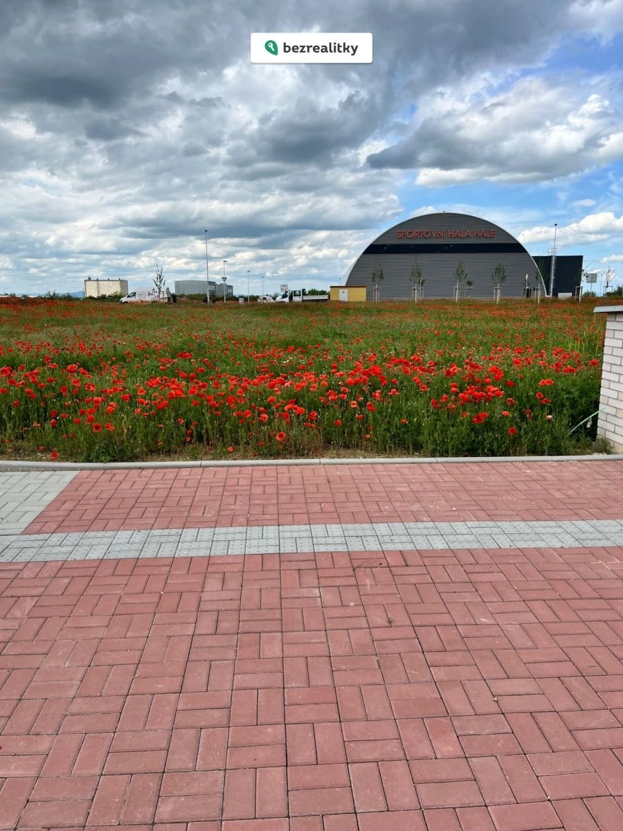 1772921567-ofeqhtcgen-9308f078-3fff-4803-924d-21bc32305c93