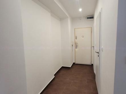 1771442198-ypsuvvkgts-20260216-082842