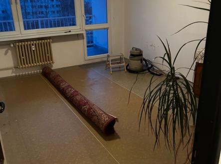 Prodej bytu, 1+1, 45 m²