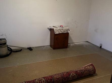 Prodej bytu, 1+1, 45 m²