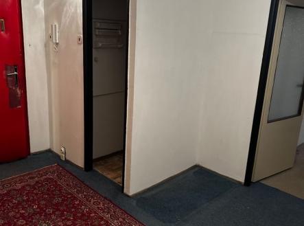 Prodej bytu, 1+1, 45 m²