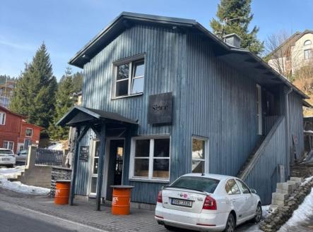 Prodej komerčního objektu, jiný, 88 m²