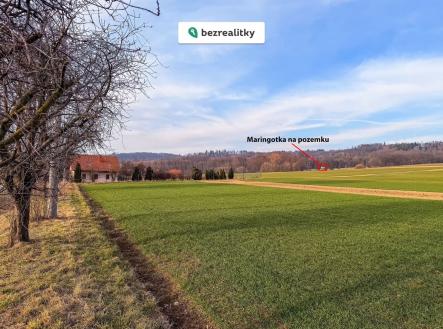 Prodej pozemku, zahrada, 1 900 m²