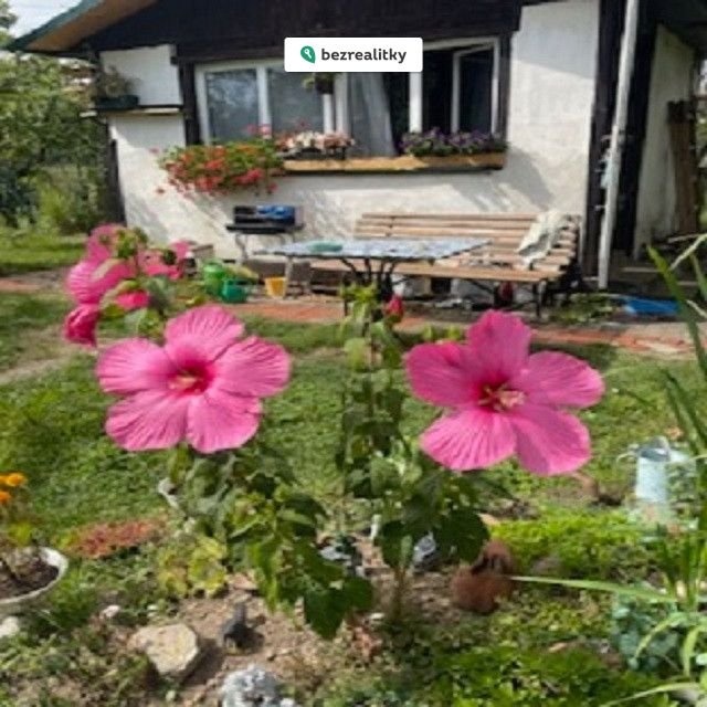 1773064072-qrqaxjfcla-img-2272